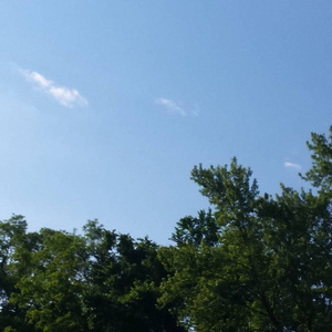 韩国一级高清av毛片
